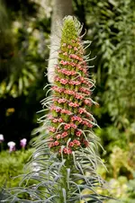 Botanischer Garten 2 (1 von 1).webp