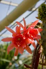 Botanischer Garten 1 (1 von 1).webp