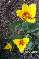 100_2773.webp