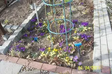 100_2778.webp