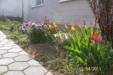 100_2782.webp