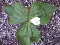 SP_A0021a.webp