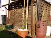2011 04 20 001.webp