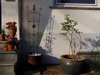 2011 04 20 003.webp