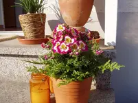 2011 04 20 012.webp
