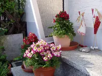 2011 04 20 013.webp