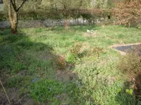 CIMG0589.webp