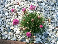 DSCF5282.webp