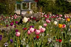 Botanischer Garten 1 (12 von 33).webp