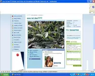 Unbenannt.webp