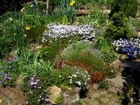 SDC13409.webp