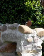 SDC13434-1.webp