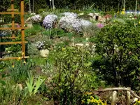 SDC13429.webp