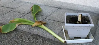 DSC03151.webp