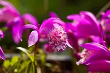 Botanischer Garten 1 (39 von 124).webp