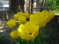 CIMG0830.webp