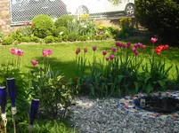 CIMG0848.webp