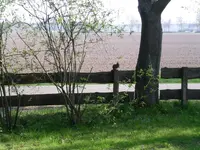 PICT0003.webp