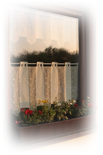 Fenster.webp