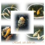 Koi Collage.webp