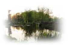Teich.webp