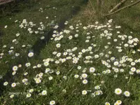 HPIM6338.webp