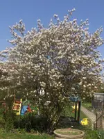 HPIM6334.webp