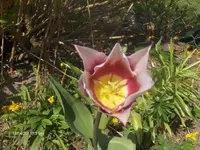 HPIM6329.webp