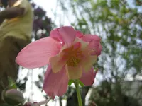 IMG_4508.webp