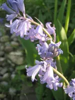 IMG_4511.webp