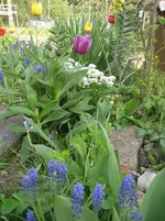 IMG_4513.webp