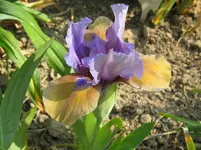IMG_whats again_1067x800.webp