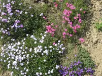 IMG_1916_1067x800.webp