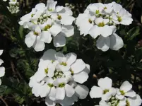 IMG_1917_1067x800.webp