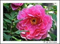 IMG_5245 (1 von 1).webp