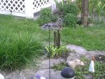 PIC00559.JPG
