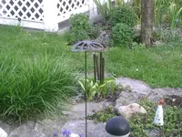 PIC00559.webp