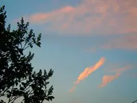 025.webp