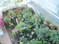 DSC00786.webp