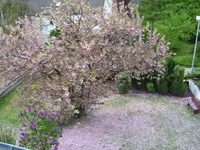 100_6094.webp