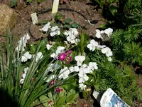 SDC13459.webp