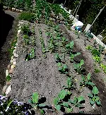 SDC13455.webp