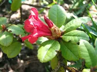 DSCF5297.webp