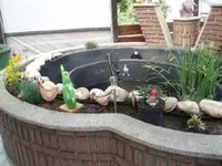 teich neu.webp