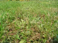 IMG_2271.webp