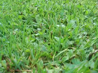 IMG_2273.webp