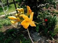 DSCF0012.webp