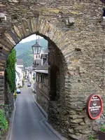 CIMG2543.webp
