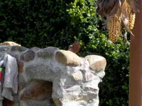 SDC13434.webp