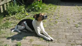 Elli relaxed.webp